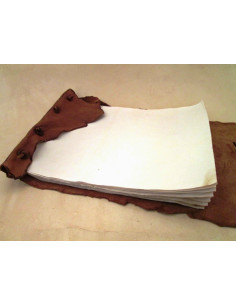 Jurnal Pergament 2